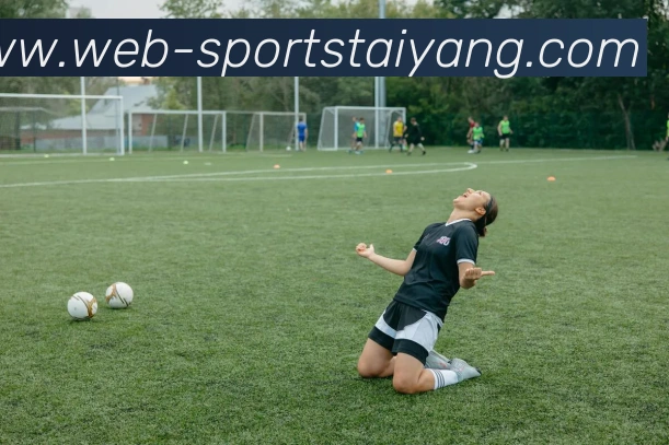 太阳城平台生态图